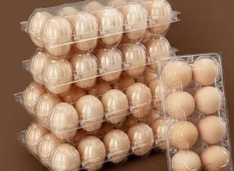 PET Egg Packaging