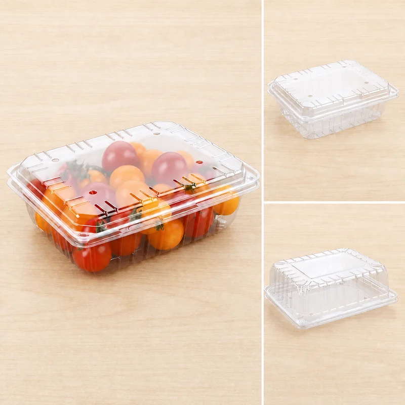 SS-1000B clear PET fruit punnet