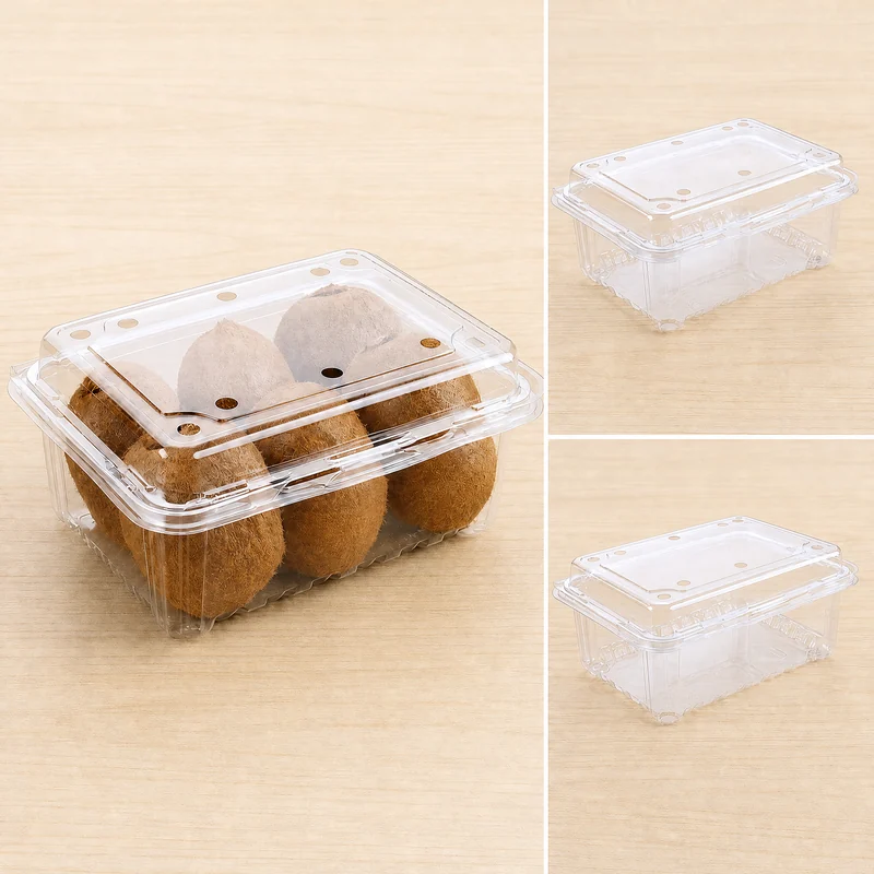 SS-500A clear PET fruit punnet