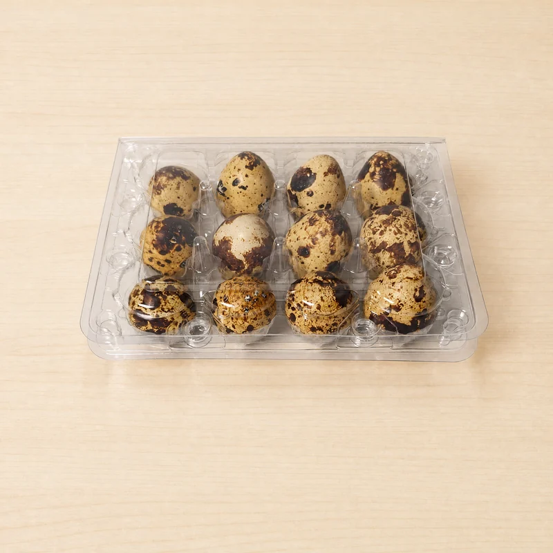 SSACD-12 Clear PET Quail Egg Carton 12-Cell view 2