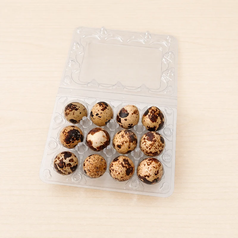 SSACD-12 Clear PET Quail Egg Carton 12-Cell