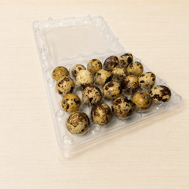 SSACD-20 Clear PET Quail Egg Carton 20-Cell