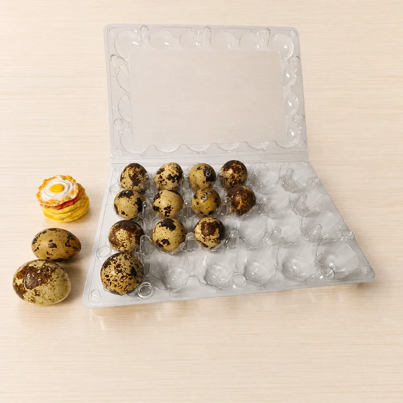 SSACD-24 Clear PET Quail Egg Carton 24-Cell