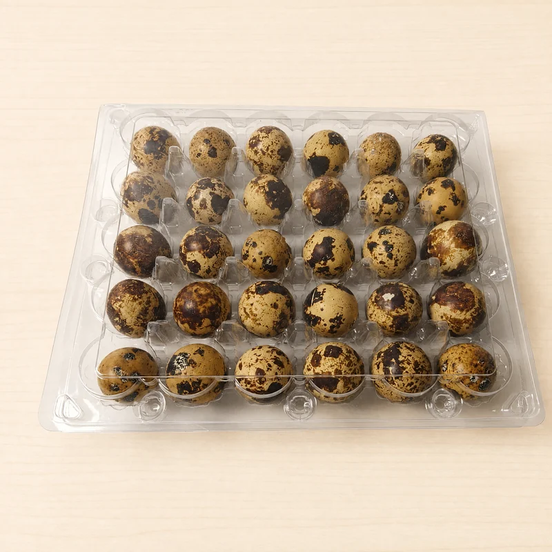 SSACD-30 Clear PET Quail Egg Carton 30-Cell view 4