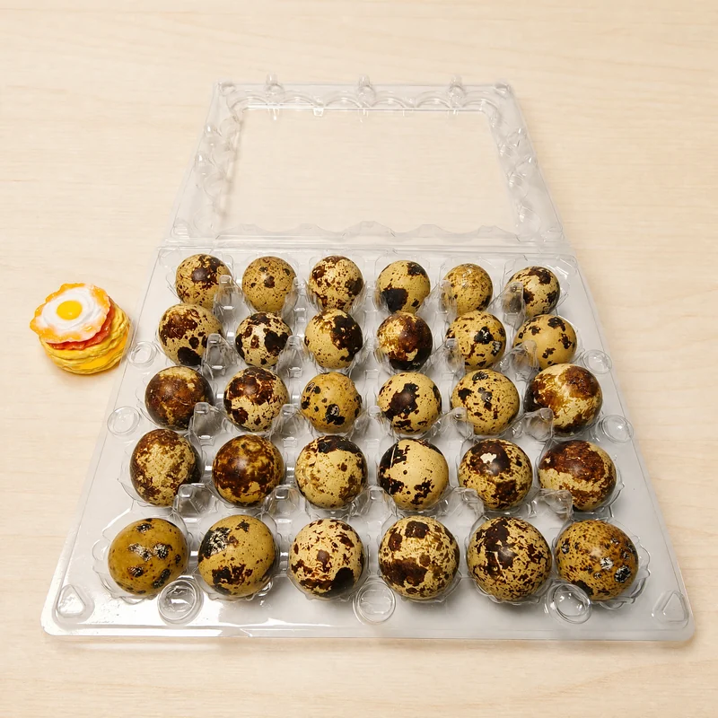 SSACD-30 Clear PET Quail Egg Carton 30-Cell