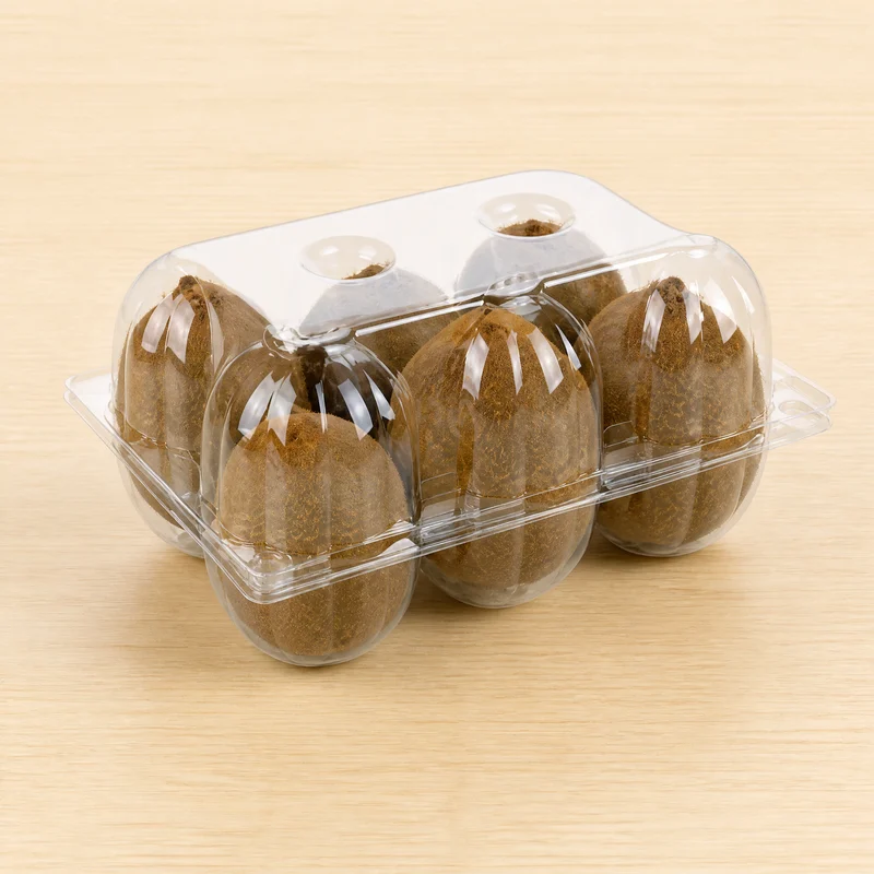 SSCKC-1-6V Clear PET Cavity Kiwi Clamshell 6-Cell