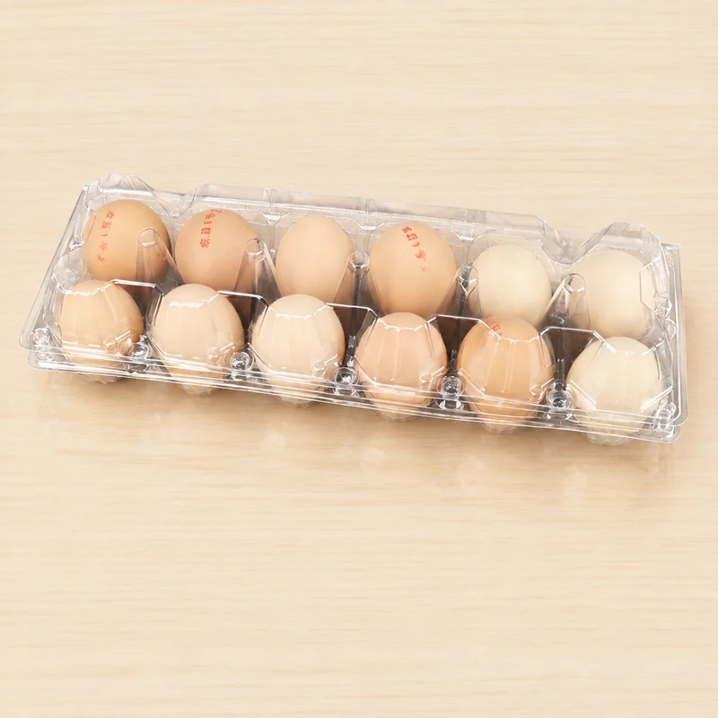 SSWWJ-12M Clear PET Chicken Egg Carton 12-Cell (2×6 Layout)