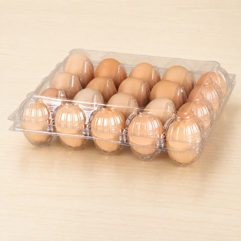 SSWWJ-20M Clear PET Chicken Egg Carton 20-Cell